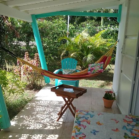 Gite Cajou Dans Jardin Tropical Ventile A Sainte-Anne Exteriér fotografie