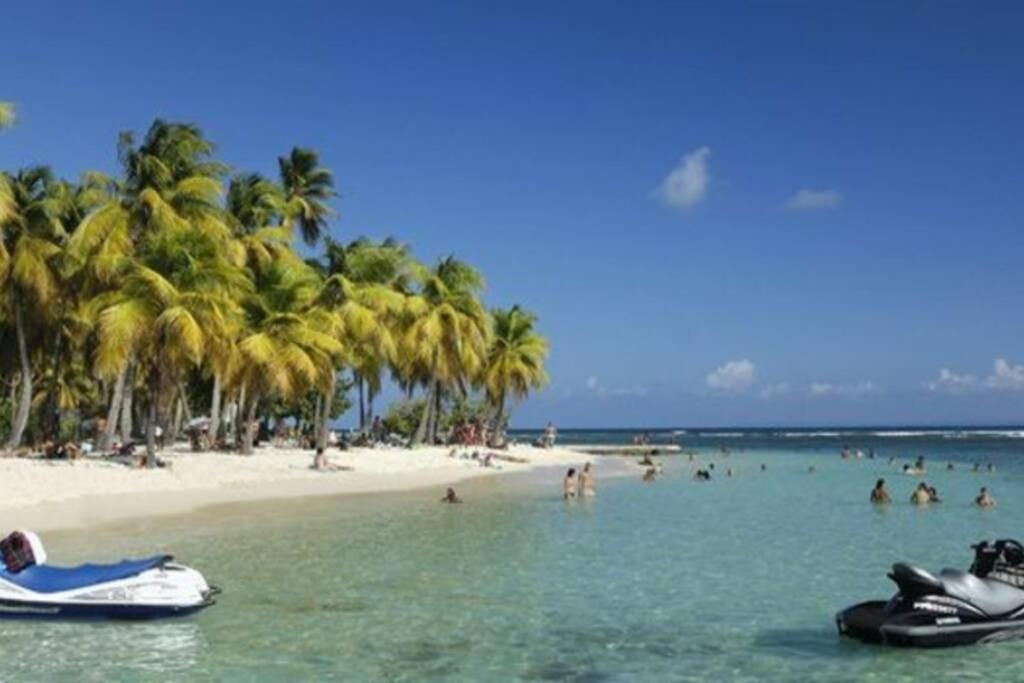 Gite Cajou Dans Jardin Tropical Ventile A Sainte-Anne Exteriér fotografie