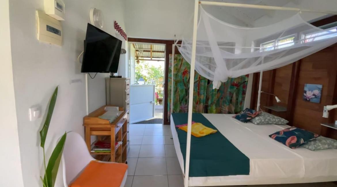 Gite Cajou Dans Jardin Tropical Ventile A Sainte-Anne Exteriér fotografie