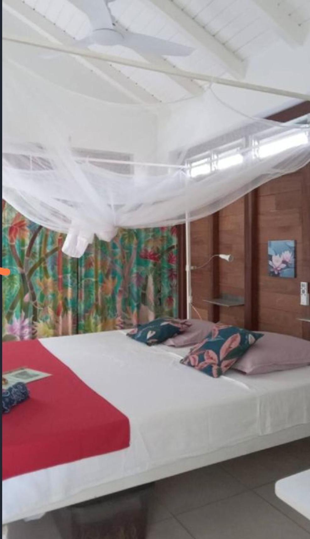 Gite Cajou Dans Jardin Tropical Ventile A Sainte-Anne Exteriér fotografie