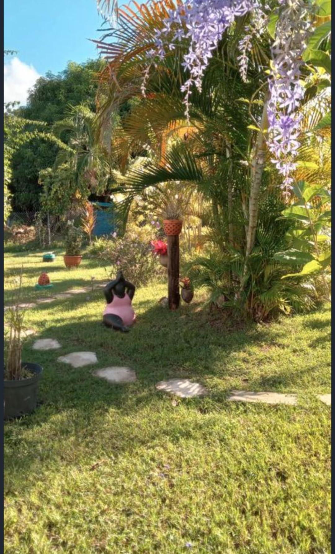 Gite Cajou Dans Jardin Tropical Ventile A Sainte-Anne Exteriér fotografie