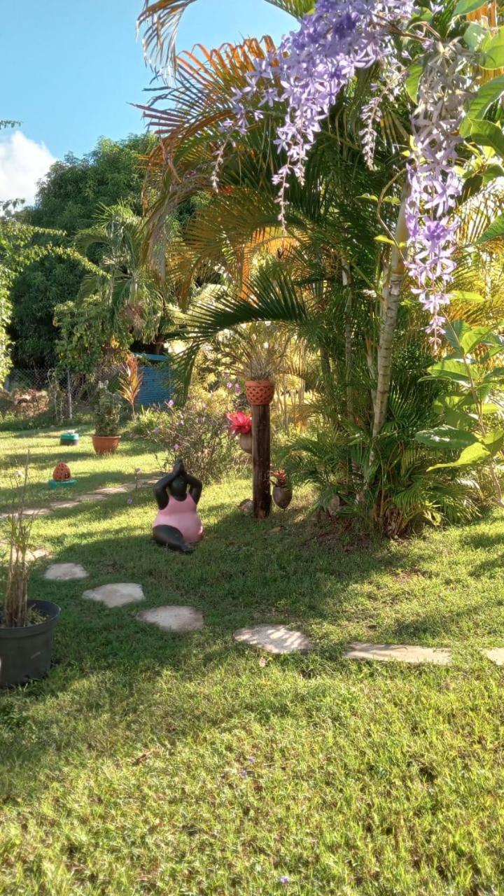 Gite Cajou Dans Jardin Tropical Ventile A Sainte-Anne Exteriér fotografie